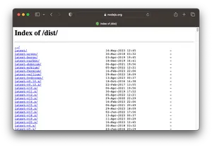 【Dockerfile】Node.jsをバージョン指定でインストールする2つの方法